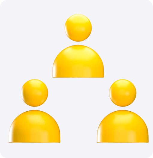 Structural divisions