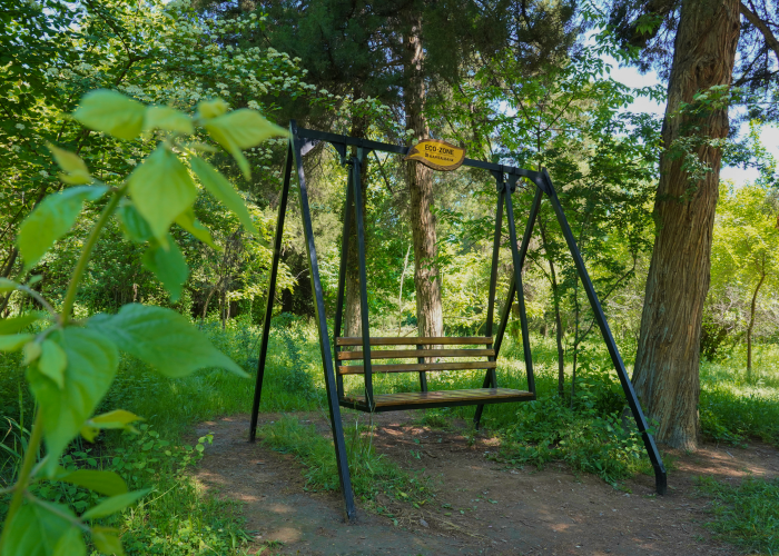 Site 700x500 11.png