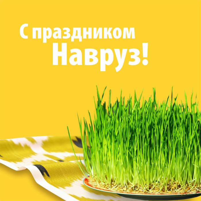 Happy Navruz holiday!